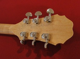 Headstock and Tuners